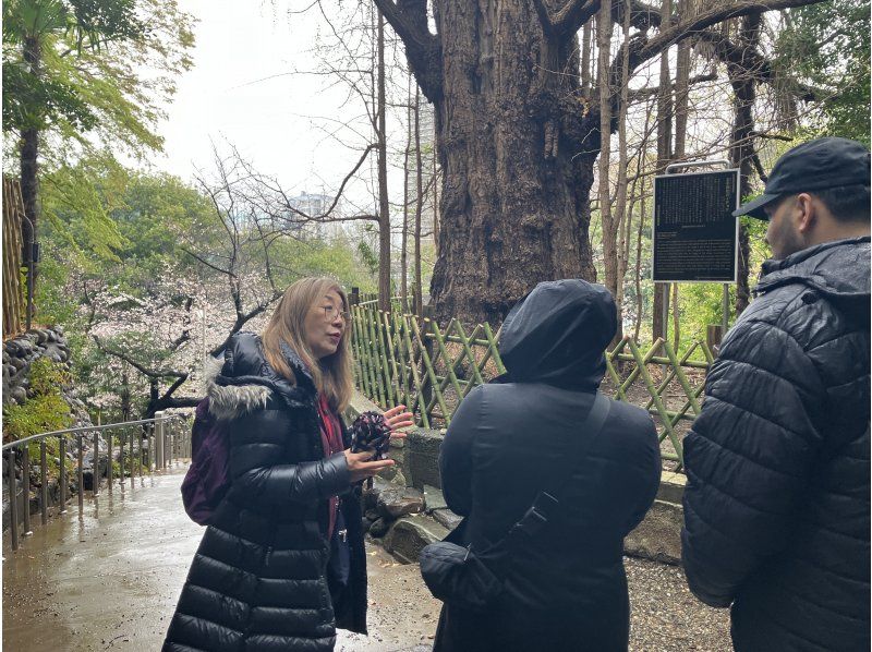 [東京] 歷史悠久的清酒釀酒廠之旅和美食搭配の紹介画像