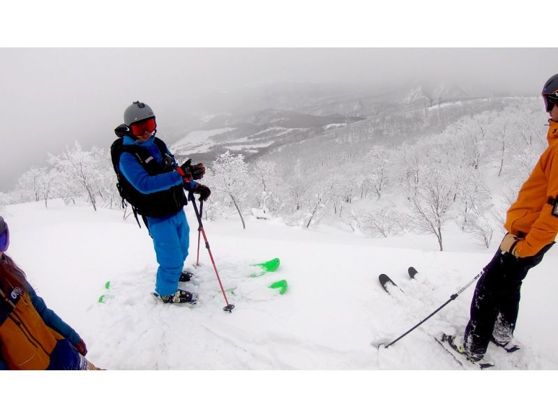 【岩手縣北上市樹上滑行】在鬆軟的粉雪森林中滑行！樹上滑行體驗（適合16歲以上的滑雪愛好者）の紹介画像