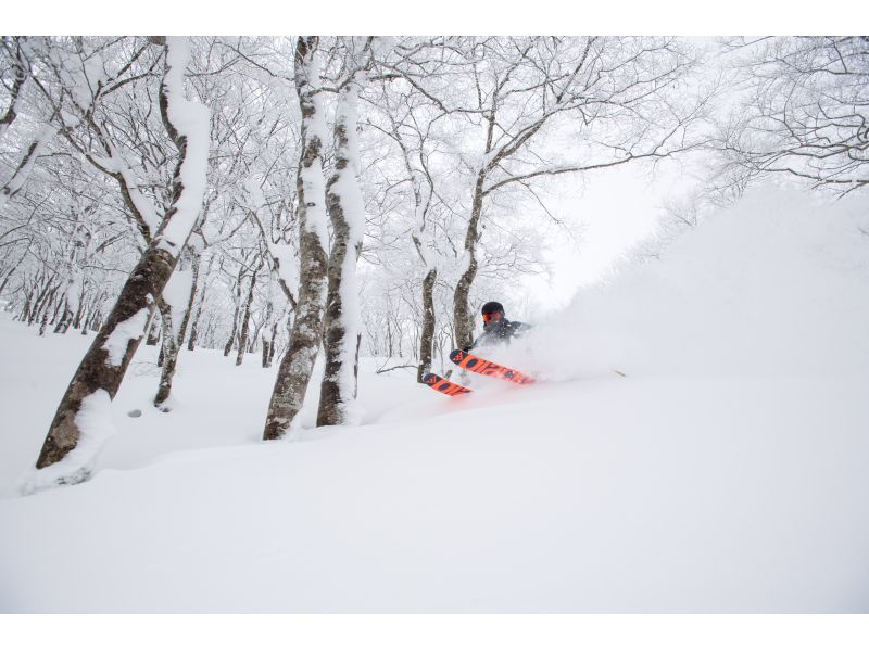 【岩手縣北上市樹上滑行】在鬆軟的粉雪森林中滑行！樹上滑行體驗（適合16歲以上的滑雪愛好者）の紹介画像