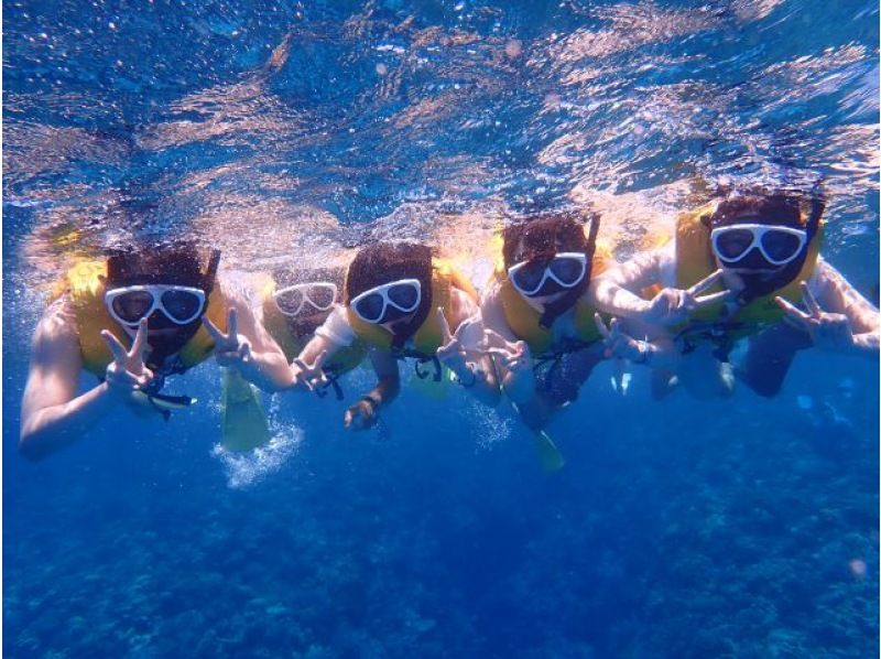 Okinawa, Minna Island [Boat Snorkeling & Minna Island Landing ◆ Winter Only] Half-Day Tour ◆ Small Groups ◆ Free Photo Downloads ◆ Equipment & Wetsuits Includedの紹介画像