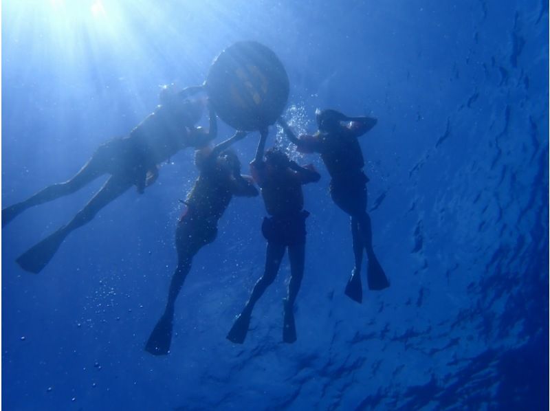 [Departing from the northern part of the main island] Morning/Afternoon Half-Day Minna Island Snorkeling Tour ☆ Includes a short visit to Minna Island and free photo downloadsの紹介画像