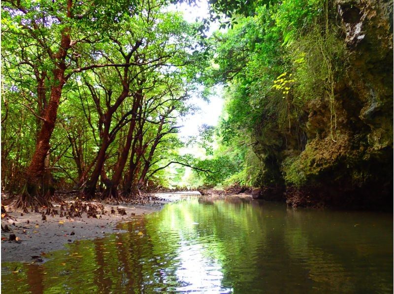 Mangrove SUP in a hidden area [3-hour course: A great SUP adventure in a river surrounded by mangroves, a natural monument]の紹介画像