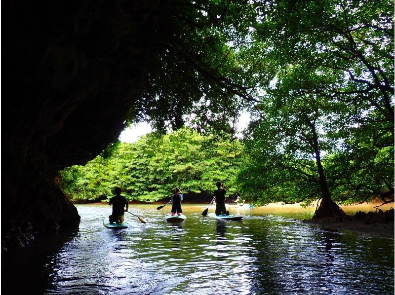 Mangrove SUP in a hidden area [3-hour course: A great SUP adventure in a river surrounded by mangroves, a natural monument]の紹介画像