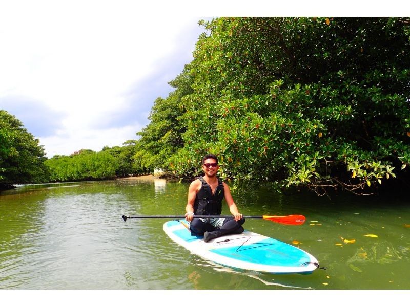 Mangrove SUP in a hidden area [3-hour course: A great SUP adventure in a river surrounded by mangroves, a natural monument]の紹介画像