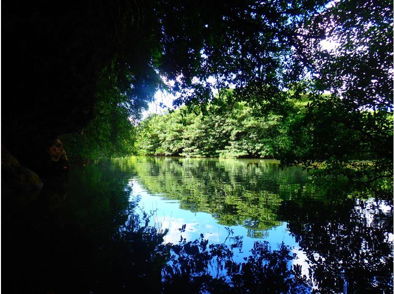 Mangrove SUP in a hidden area [3-hour course: A great SUP adventure in a river surrounded by mangroves, a natural monument]の紹介画像