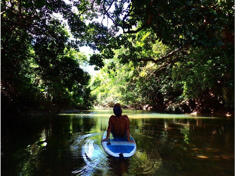 Mangrove SUP in a hidden area [3-hour course: A great SUP adventure in a river surrounded by mangroves, a natural monument]の紹介画像