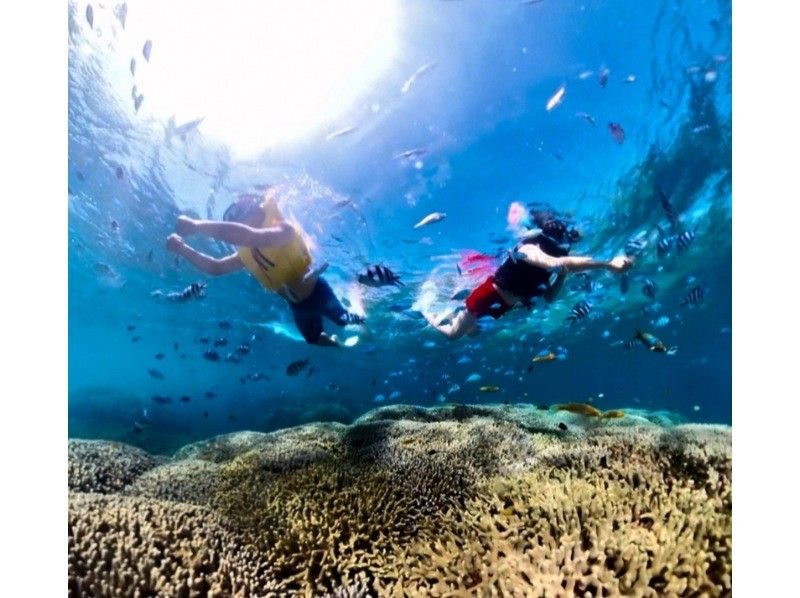 Student discount! [2-hour private boat rental short plan] Private boat to uninhabited island & boat snorkeling. Come empty-handed on the day! Toilets available. Free for children under 3.の紹介画像