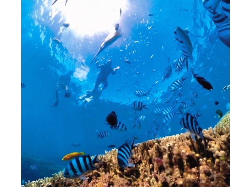 Student discount! [2-hour private boat rental short plan] Private boat to uninhabited island & boat snorkeling. Come empty-handed on the day! Toilets available. Free for children under 3.の紹介画像