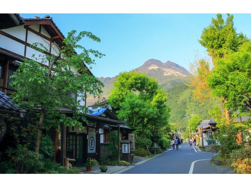 【大分旅游B路线】太宰府天满宫、文艺复兴之神、充满魅力的青蛙神社、温泉胜地汤布院之旅の紹介画像