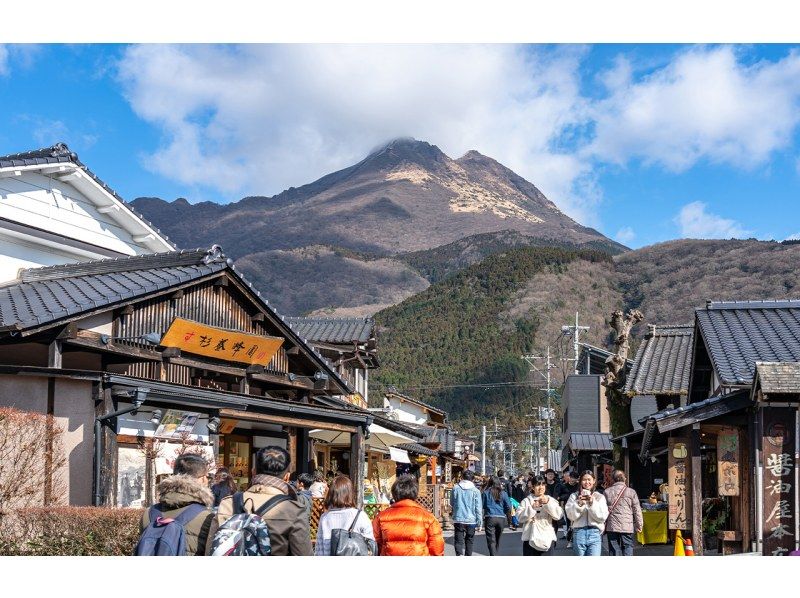 【大分旅游B路线】太宰府天满宫、文艺复兴之神、充满魅力的青蛙神社、温泉胜地汤布院之旅の紹介画像