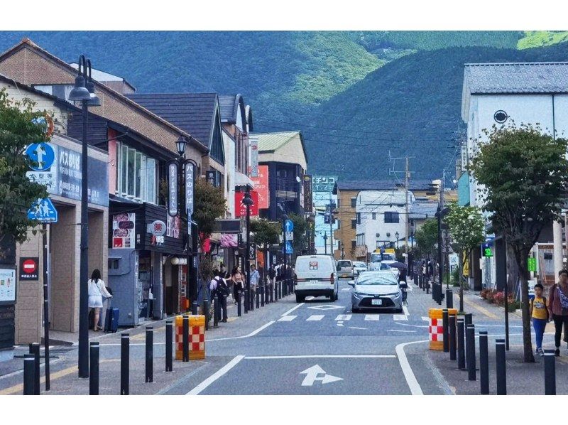 【大分旅游B路线】太宰府天满宫、文艺复兴之神、充满魅力的青蛙神社、温泉胜地汤布院之旅の紹介画像