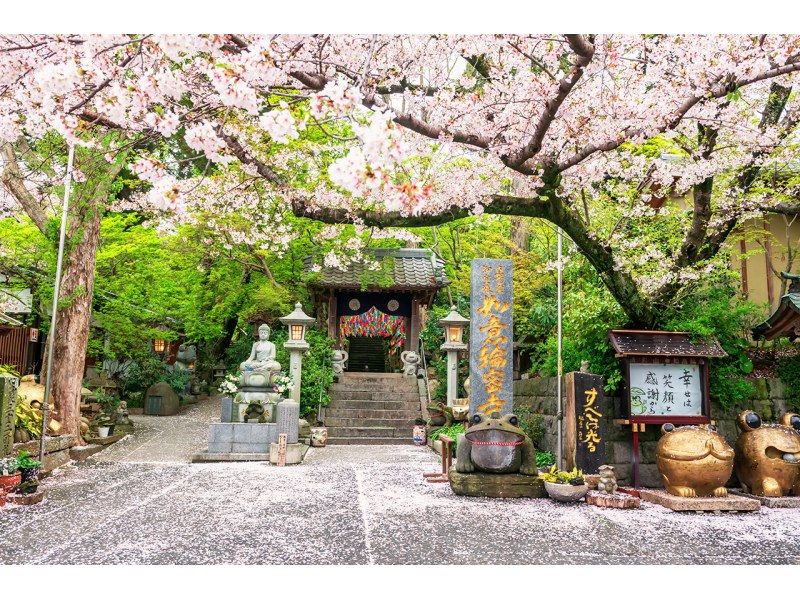 【大分旅游B路线】太宰府天满宫、文艺复兴之神、充满魅力的青蛙神社、温泉胜地汤布院之旅の紹介画像
