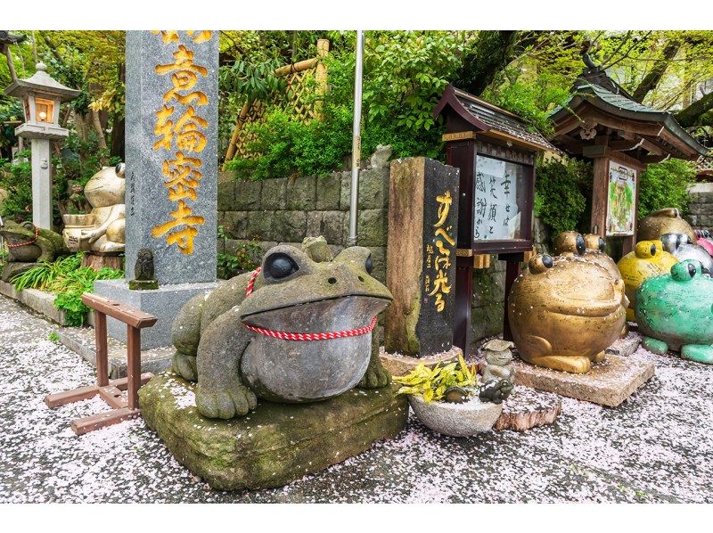 【大分旅游B路线】太宰府天满宫、文艺复兴之神、充满魅力的青蛙神社、温泉胜地汤布院之旅の紹介画像