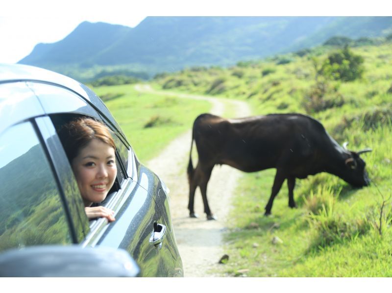 【石垣島・トレッキング】まるでジェラシックパーク！絶景野底岳＆秘密のエコロード大冒険！ドローン撮影で一生の思い出を。の紹介画像