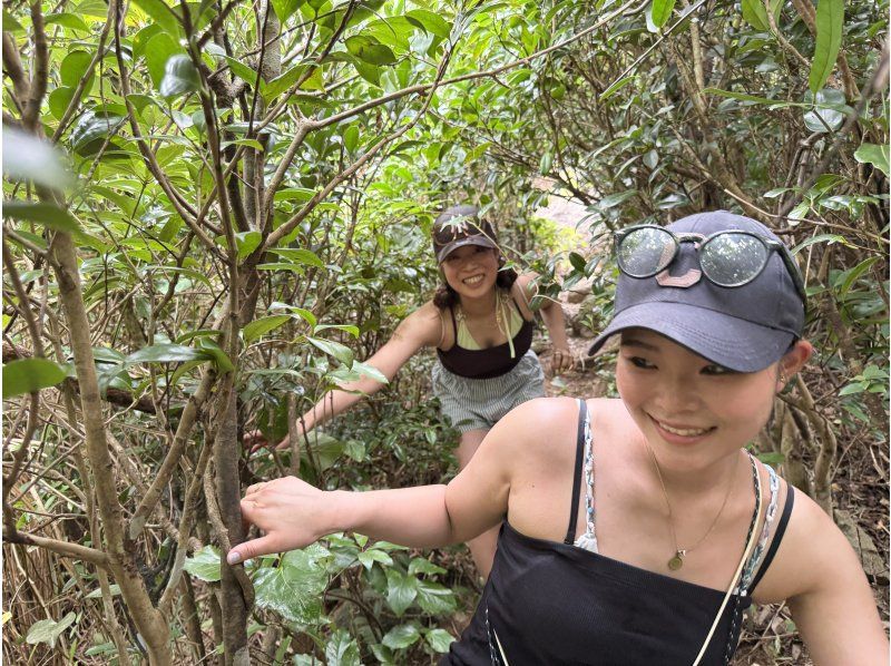 【이시가키 / 절경 트레킹】 마치 제라식 파크! 드론 촬영 포함!の紹介画像