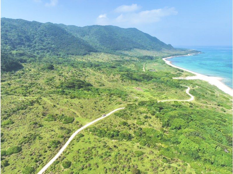 【石垣島・トレッキング】まるでジェラシックパーク！絶景野底岳＆秘密のエコロード大冒険！ドローン撮影で一生の思い出を。の紹介画像