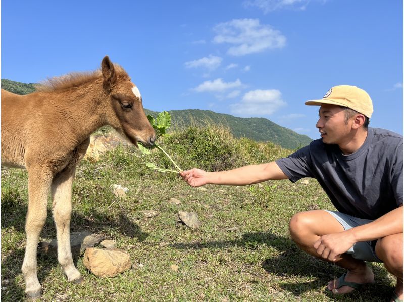 【石垣島・トレッキング】まるでジェラシックパーク！絶景野底岳＆秘密のエコロード大冒険！ドローン撮影で一生の思い出を。の紹介画像