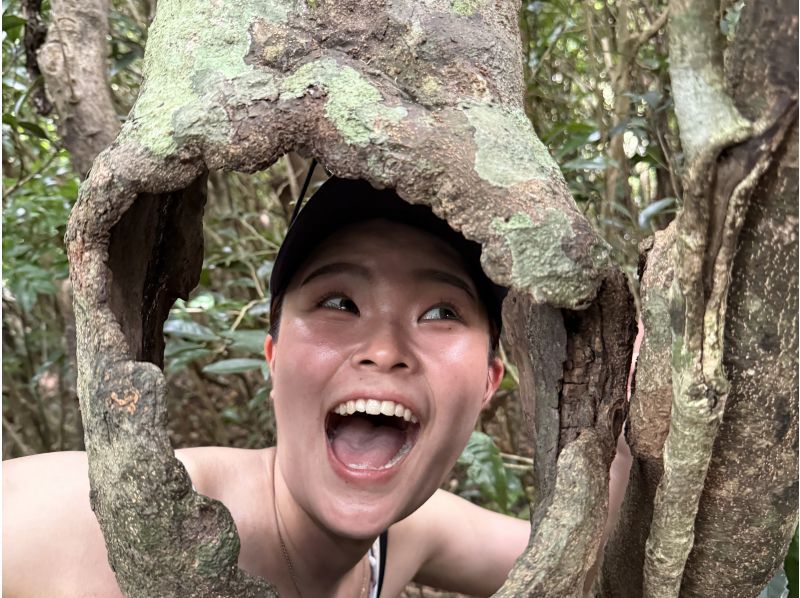 【이시가키 / 절경 트레킹】 마치 제라식 파크! 드론 촬영 포함!の紹介画像