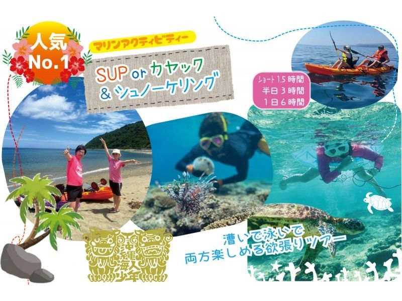 【沖縄・本部町/今帰仁村】シーカヤック＆シュノーケル！ライトな90分ツアー！の紹介画像