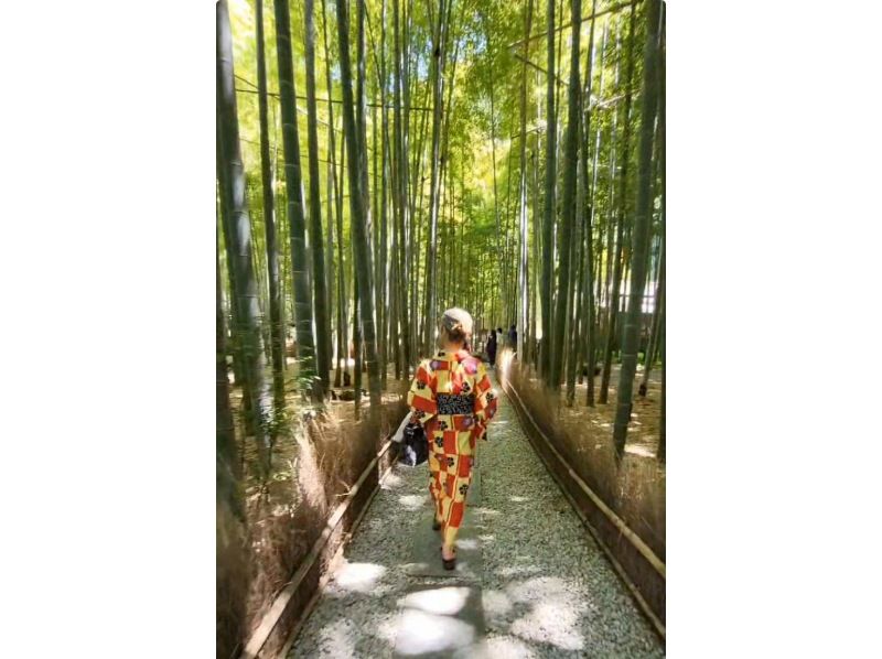 【東京・豊島区】Summer KIMONO GO!・浴衣GO！の紹介画像