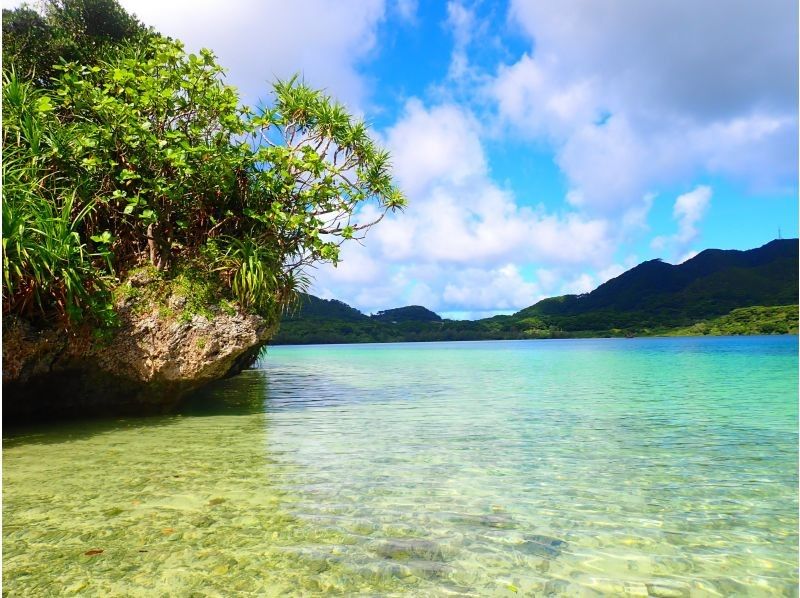 SUP in the Crystal Blue Sea of Ishigaki Islandの紹介画像