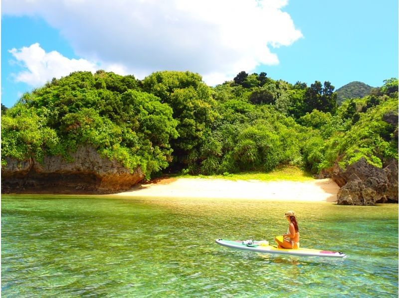 SUP in the Crystal Blue Sea! [3-Hour Course ☆ Free Transportation! Free Photo Data!]の紹介画像