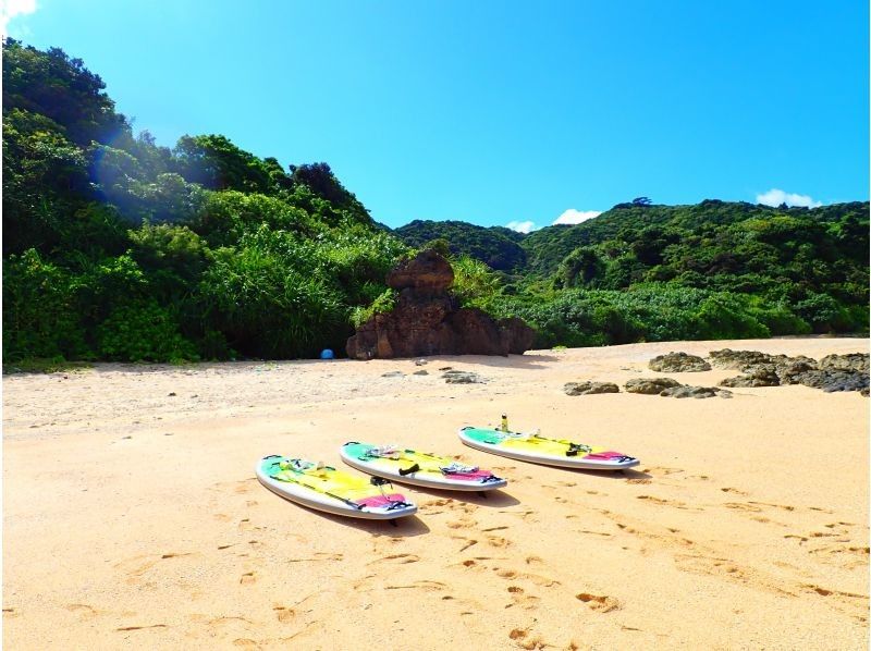 SUP in the Crystal Blue Sea! [3-Hour Course ☆ Free Transportation! Free Photo Data!]の紹介画像