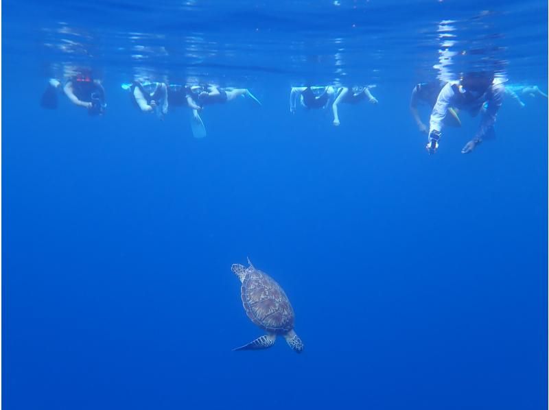 Blue Cave Snorkeling [3-hour course: An amazing snorkeling experience where you can encounter beautiful coral and colorful fish]の紹介画像