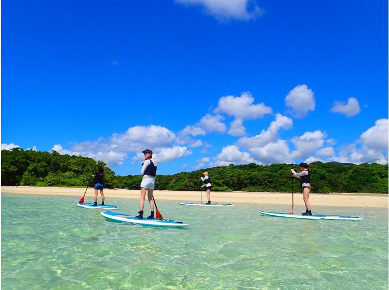 SUP and Blue Cave Snorkeling [7-hour full-day tour ☆ Free transportation! Free photo data! Enjoy Ishigaki Island to the fullest! A highly satisfying tour]の紹介画像