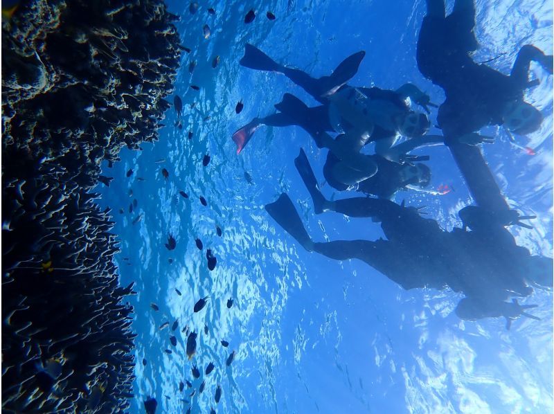 SUP and Blue Cave Snorkeling [7-hour full-day tour ☆ Free transportation! Free photo data! Enjoy Ishigaki Island to the fullest! A highly satisfying tour]の紹介画像