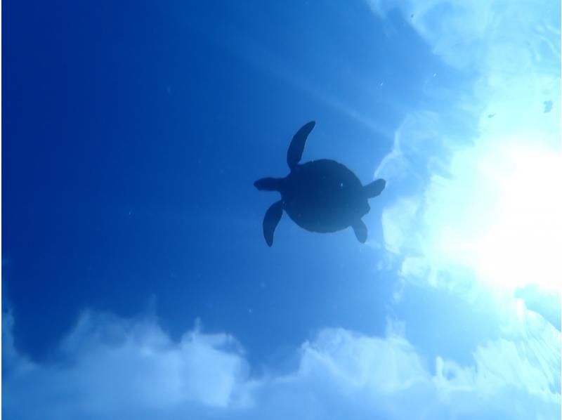 SUP and Blue Cave Snorkeling [7-hour one-day tour to fully enjoy Ishigaki Island]の紹介画像