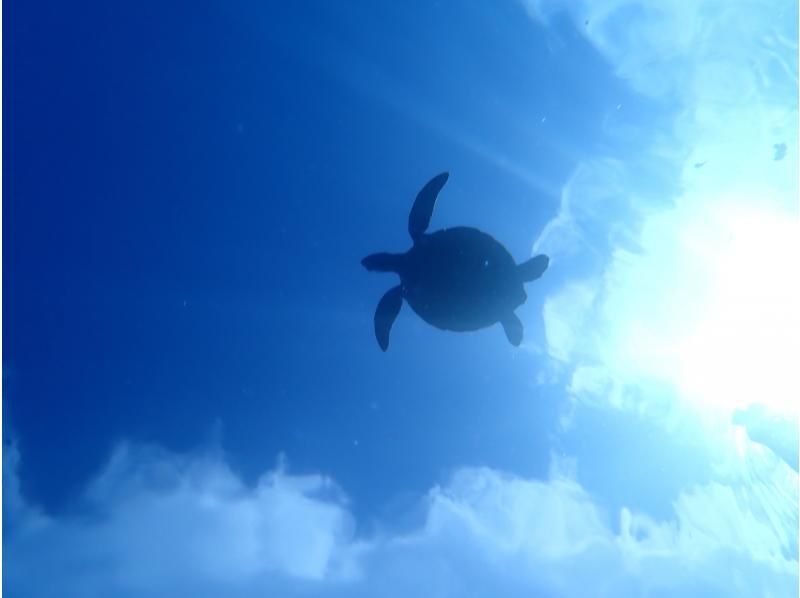 SUP and Blue Cave Snorkeling [7-hour full-day tour ☆ Free transportation! Free photo data! Enjoy Ishigaki Island to the fullest! A highly satisfying tour]の紹介画像