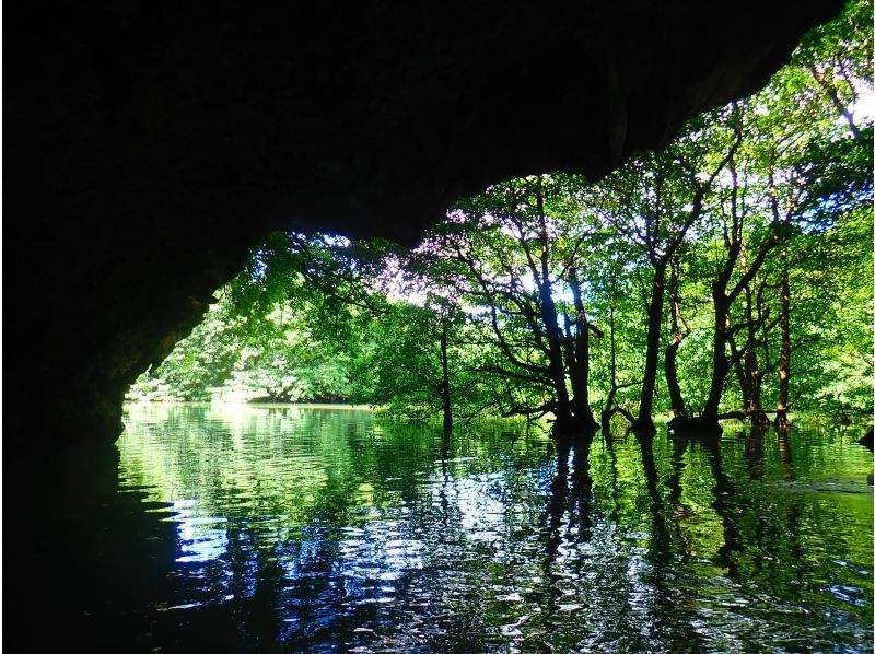SUP and Blue Cave Snorkeling [7-hour one-day tour to fully enjoy Ishigaki Island]の紹介画像