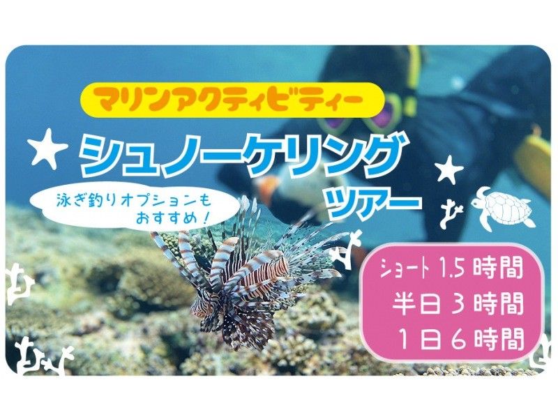 【沖縄・本部町/今帰仁村】シュノーケル！一日ツアー！の紹介画像