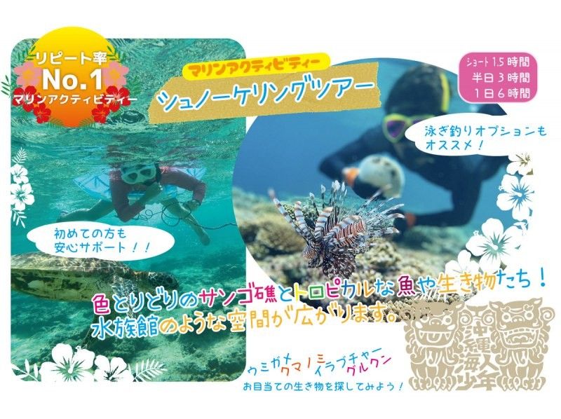 【沖縄・本部町/今帰仁村】シュノーケル！一日ツアー！の紹介画像