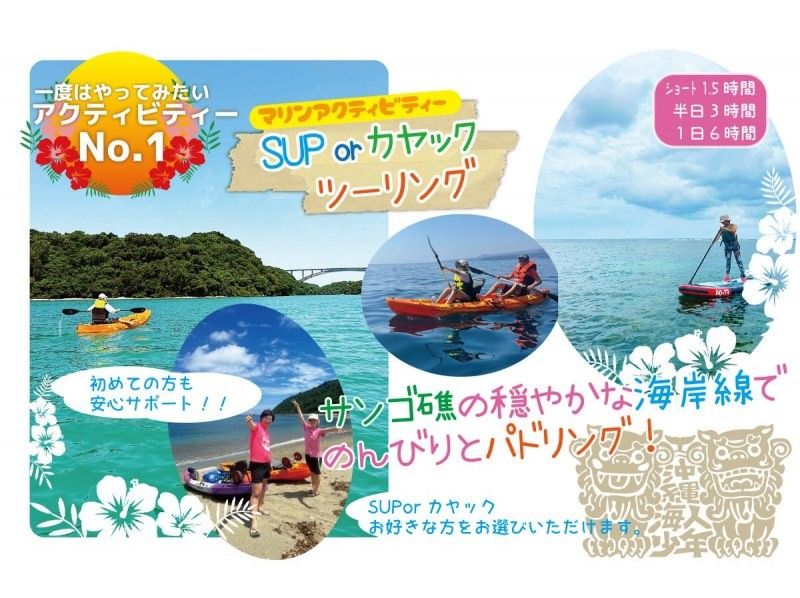 【沖縄・本部町/今帰仁村】SUPorシーカヤッククルージング！一日ツアー！の紹介画像