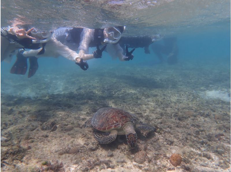 【糸満・18～25歳限定】☆天然水族館シュノーケリング☆《初心者でも安心！全部込みのフルサポート付き》糸満～約15分！到着・最終日も参加可☆の紹介画像