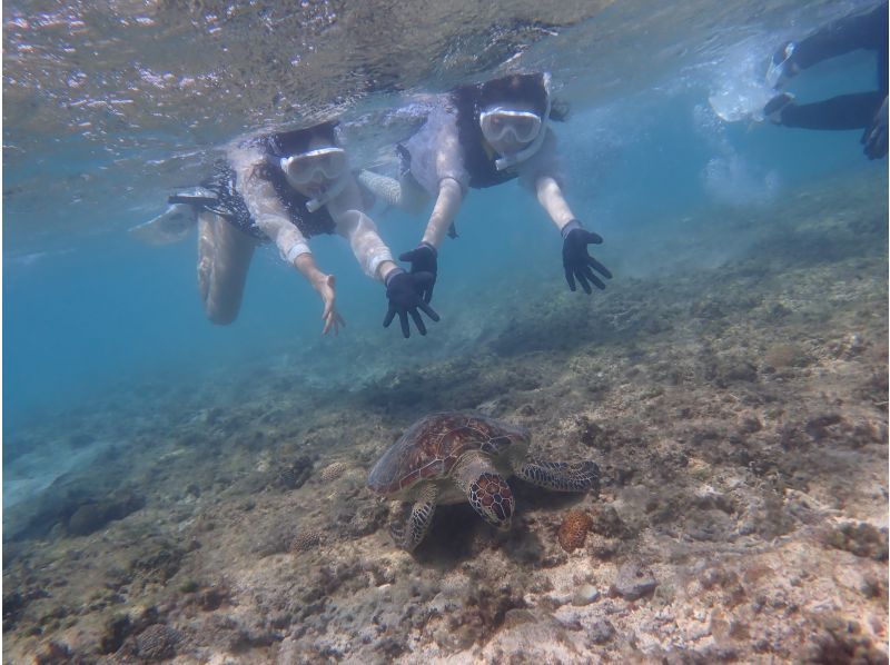 【糸満・18～25歳限定】☆天然水族館シュノーケリング☆《初心者でも安心！全部込みのフルサポート付き》糸満～約15分！到着・最終日も参加可☆の紹介画像