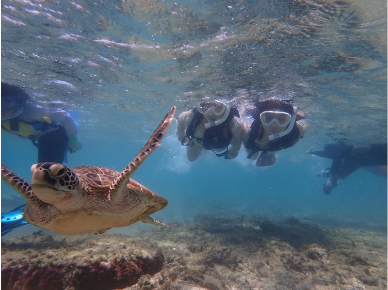 【糸満・18～25歳限定】☆天然水族館シュノーケリング☆《初心者でも安心！全部込みのフルサポート付き》糸満～約15分！到着・最終日も参加可☆の紹介画像