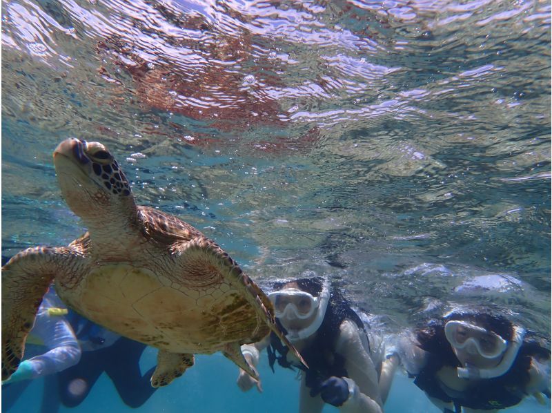 【糸満・18～25歳限定】☆天然水族館シュノーケリング☆《初心者でも安心！全部込みのフルサポート付き》糸満～約15分！到着・最終日も参加可☆の紹介画像