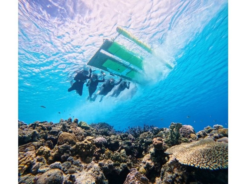 [沖繩，渡嘉敷島] 浮潛之旅 - 在慶良間群島的渡嘉敷久海灘體驗浮潛，那裡有美麗的珊瑚遺跡（含午餐）の紹介画像