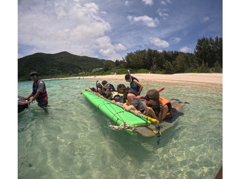 [沖繩，渡嘉敷島] 浮潛之旅 - 在慶良間群島的渡嘉敷久海灘體驗浮潛，那裡有美麗的珊瑚遺跡（含午餐）の紹介画像