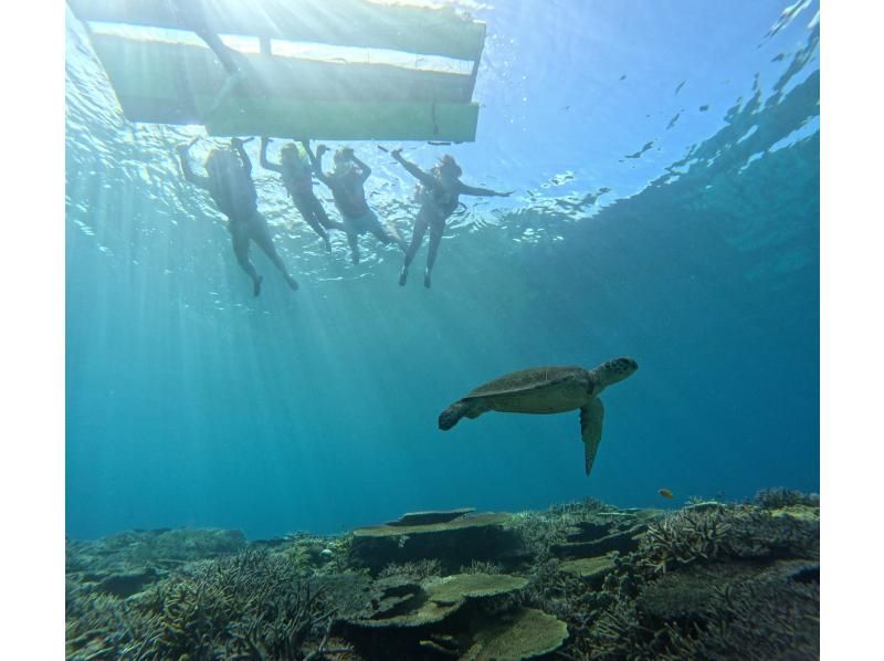 [Okinawa, Tokashiki Island] Board snorkeling tour - Snorkeling experience at Tokashiku Beach in the Kerama Islands, where beautiful coral remains (lunch not included)の紹介画像