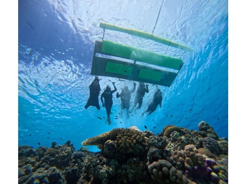 [Okinawa, Tokashiki Island] Board snorkeling tour - Snorkeling experience at Tokashiku Beach in the Kerama Islands, where beautiful coral remains (lunch not included)の紹介画像