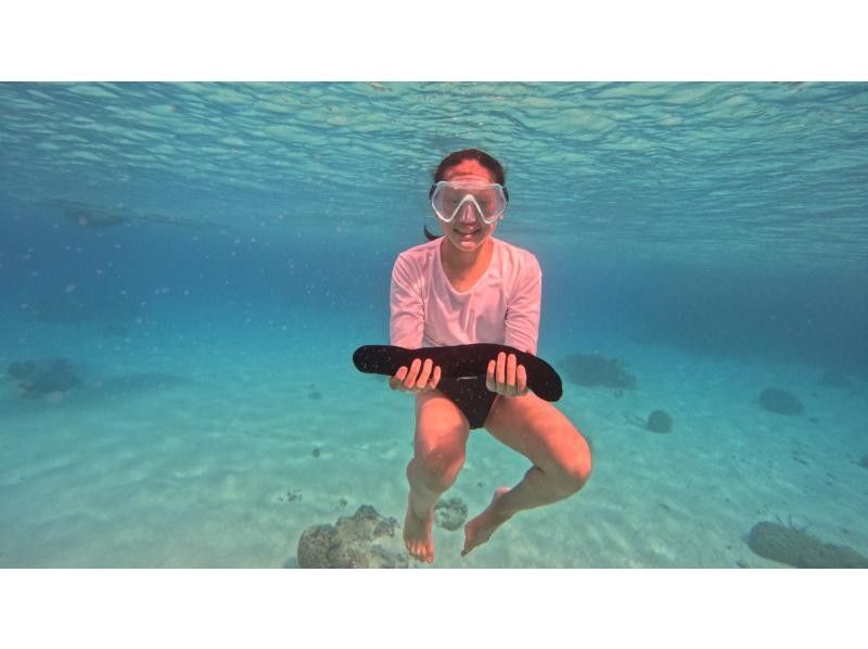 [Okinawa, Tokashiki Island] Board snorkeling tour - Snorkeling experience at Tokashiku Beach in the Kerama Islands, where beautiful coral remains (lunch not included)の紹介画像