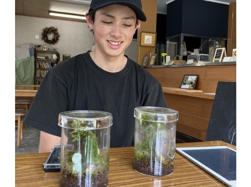 (Lake Shirakaba, Nagano Prefecture) Moss terrarium making experience catering!! (On-site workshop) We will bring you moss terrarium making!の紹介画像