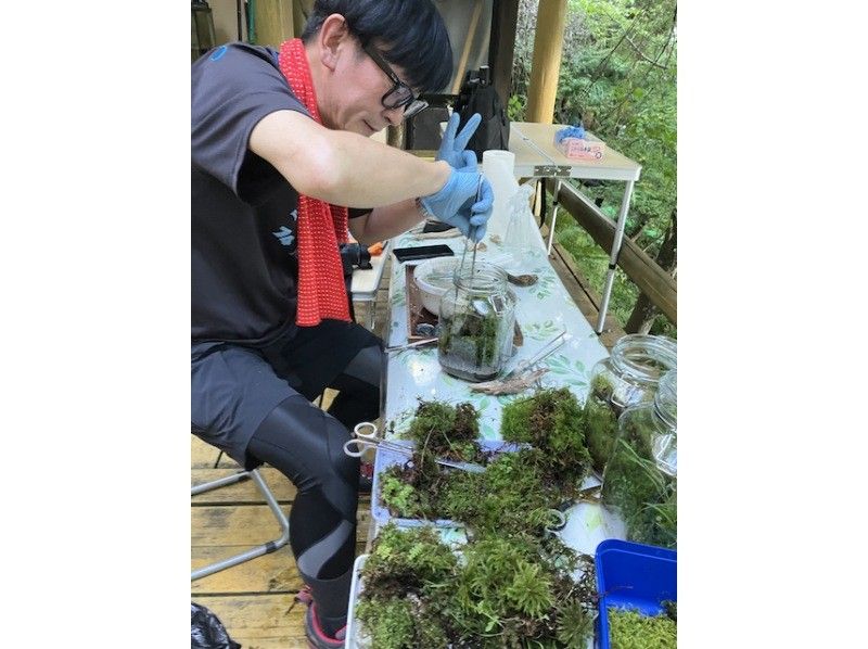(Lake Shirakaba, Nagano Prefecture) Moss terrarium making experience catering!! (On-site workshop) We will bring you moss terrarium making!の紹介画像