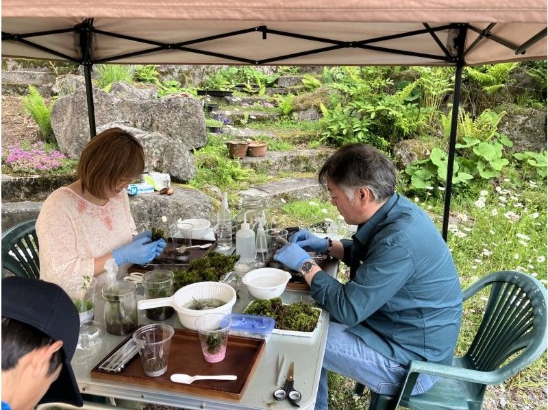 (Lake Shirakaba, Nagano Prefecture) Moss terrarium making experience catering!! (On-site workshop) We will bring you moss terrarium making!の紹介画像