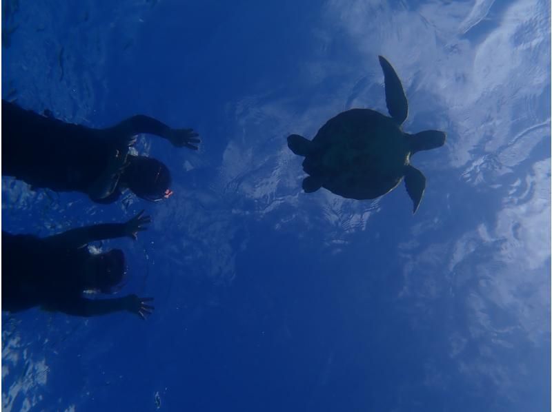 (Private rental for peace of mind♡) It's OK even if you can't swim! Snorkeling in Miyakojima where you can get up close and personal with sea turtles! No seasickness! Ages 3 and up are welcome! Free underwater camera rental available♡ Free photos and videosの紹介画像