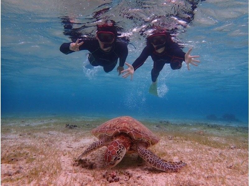 (Private rental for peace of mind♡) It's OK even if you can't swim! Snorkeling in Miyakojima where you can get up close and personal with sea turtles! No seasickness! Ages 3 and up are welcome! Free underwater camera rental available♡ Free photos and videosの紹介画像
